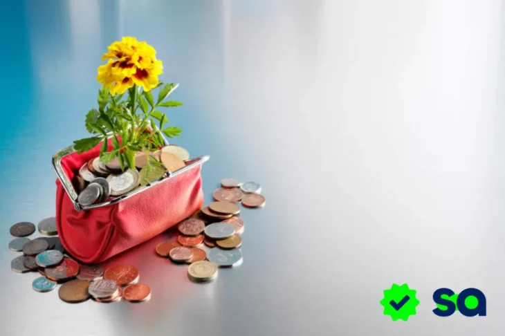 Cartera roja llena de monedas con una flor amarilla creciendo desde su interior, representando el crecimiento financiero.
